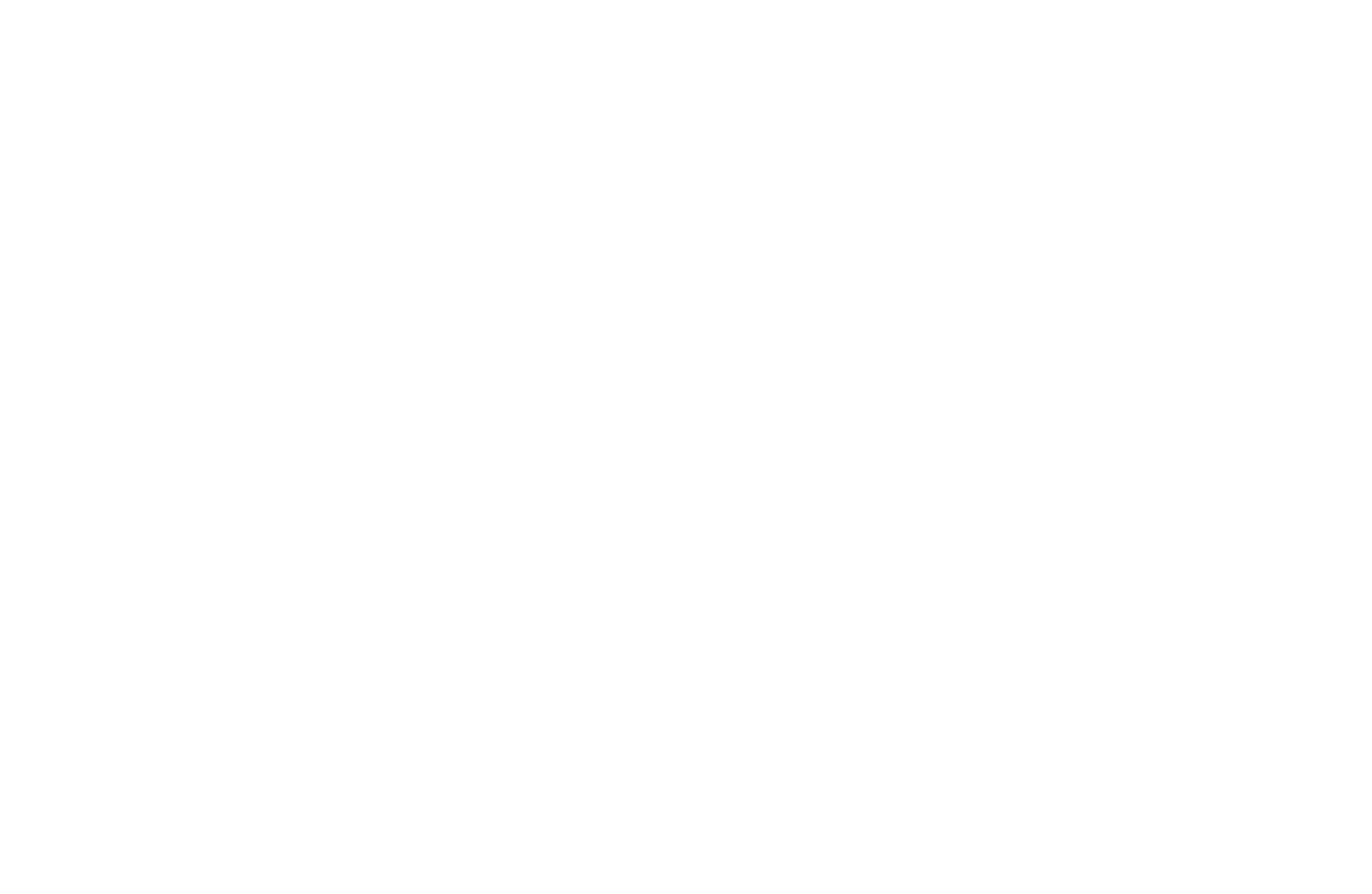 RW-Logo-RW-weiss